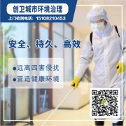 四川创卫城市环境治理有限公司